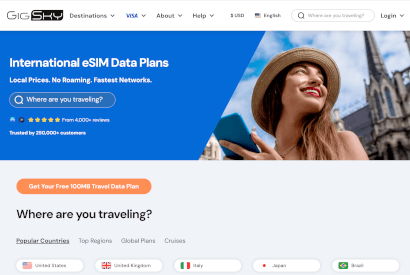 Screenshot of gigsky website