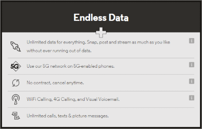 VOXI Endless Data